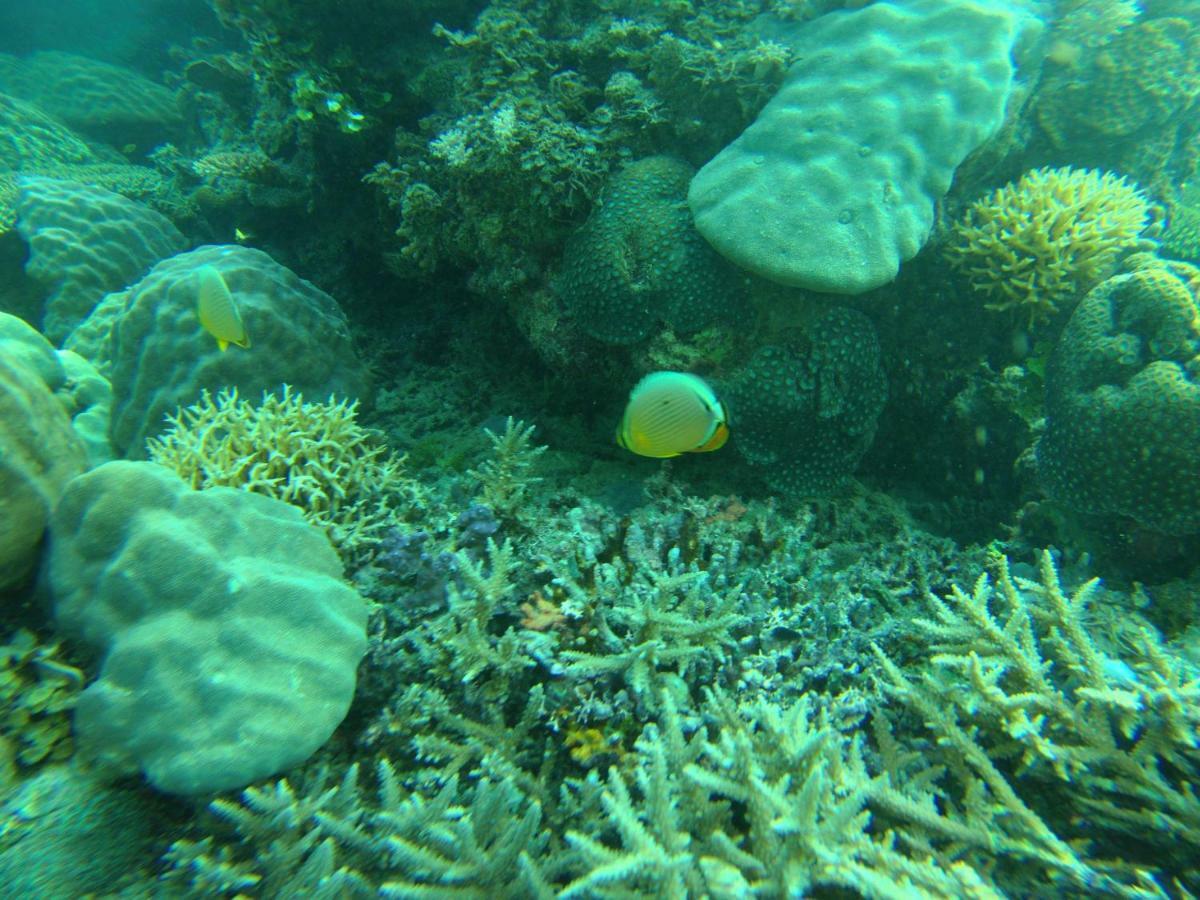 Playa Encantada Beach Resort El Nido Εξωτερικό φωτογραφία